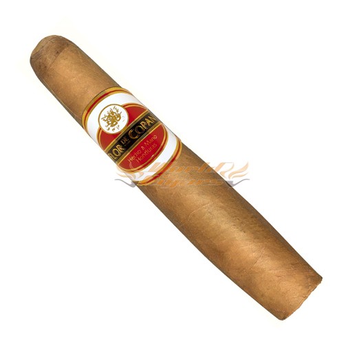 Flor de Copan Gordito - Unidade