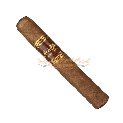 Flor de Oliva Robusto Unidade