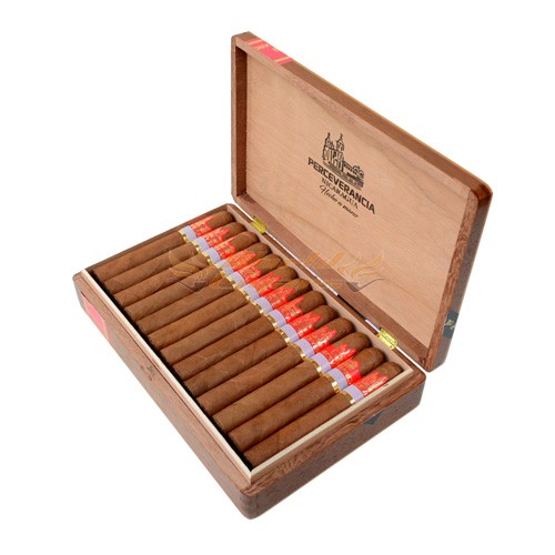 Perceverancia Canonazo Premium - Caixa C/25