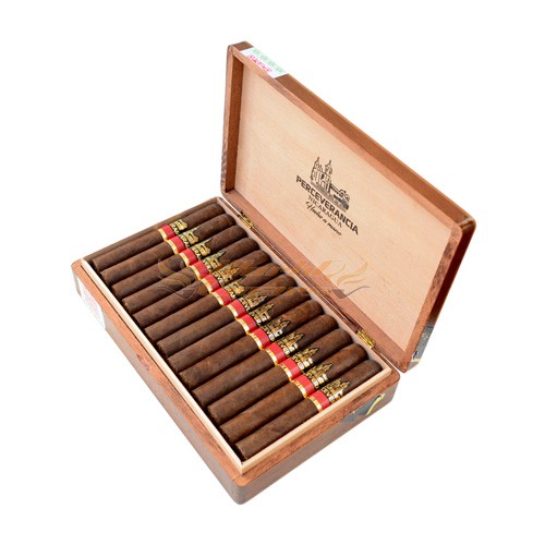 Perceverancia Canonazo Maduro Premium - Caixa C/25