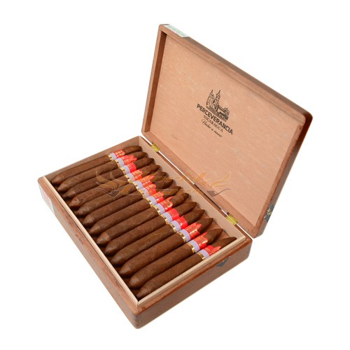 Perceverancia Gran Figurado Premium - Caixa C/25