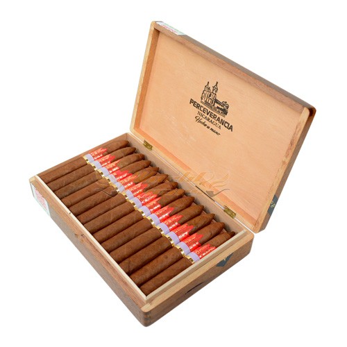 Perceverancia Piramide Premium - Caixa C/25