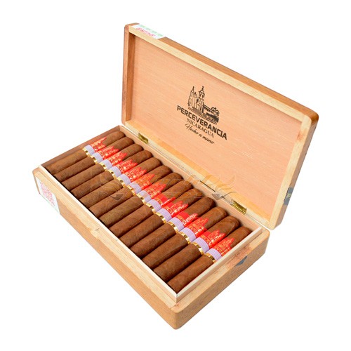 Perceverancia Robusto Premium - Caixa C/25