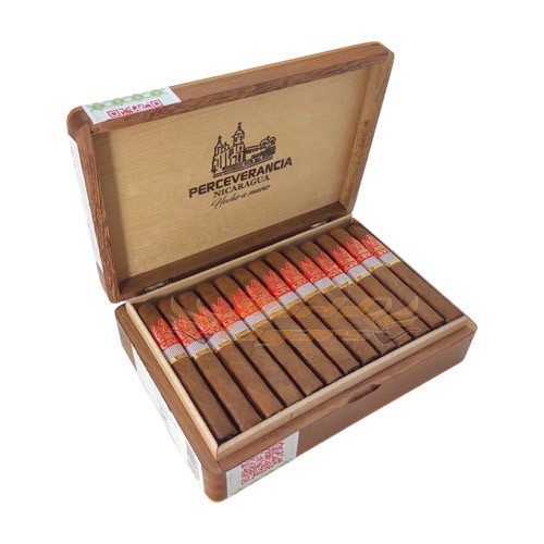Perceverancia Robusto Quadrado Premium - Caixa C/25